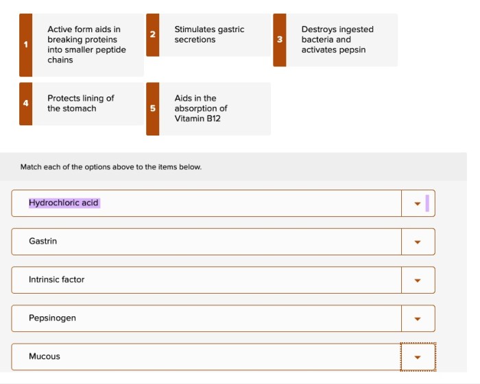 Match each description to the correct component of gastric juice