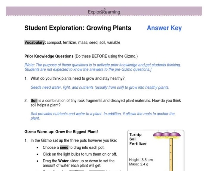 Gizmo evolution mutation and selection answers